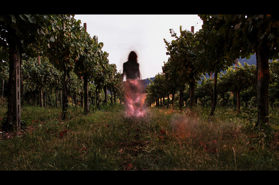 Il racconto della terra e del vino