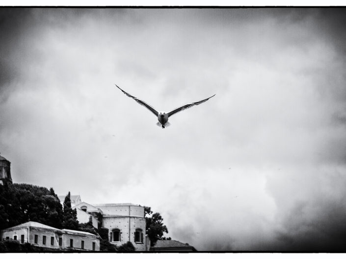 Cartoline